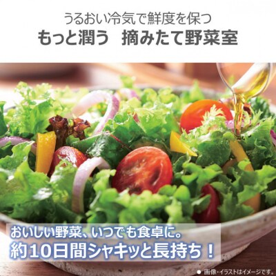 東芝 冷蔵庫 【標準設置費込み】 465L 5ドア 左開き 冷凍冷蔵庫GR-Y470GSKL(EC)