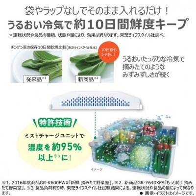 東芝 冷蔵庫 【標準設置費込み】 465L 5ドア 左開き 冷凍冷蔵庫GR-Y470GSKL(EC)