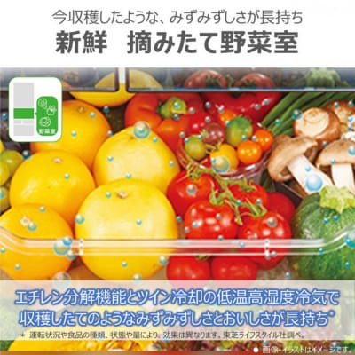 東芝 冷蔵庫 【標準設置費込み】 601L 6ドア 両開き 冷凍冷蔵庫 GR-Y600FK(EC)