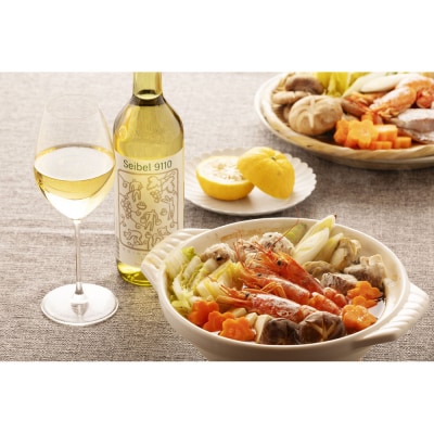 林農園 五一わいん 酸化防止剤無添加セイベル9110白 辛口 720ml 2本 発売元 株式会社片山