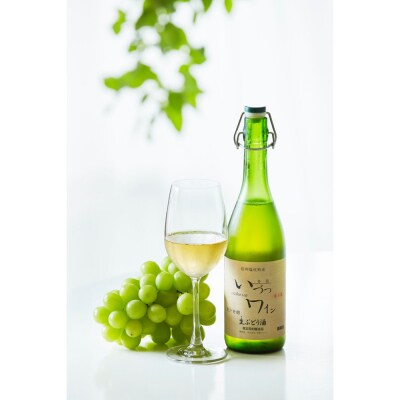 井筒ワイン 酸化防止剤無添加果汁発酵生ワイン 白 720ml x 2本 要冷蔵 発売元 株式会社片山