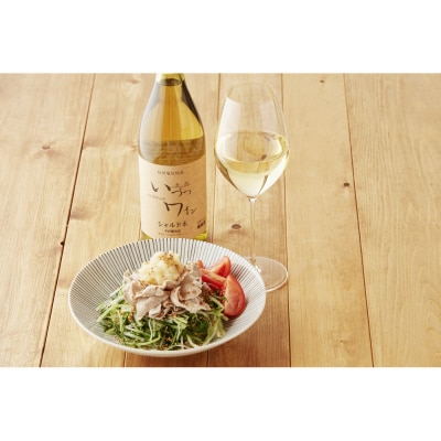 井筒ワイン 酸化防止剤無添加 井筒シャルドネ 白 辛口 720ml × 2本 発売元 株式会社片山