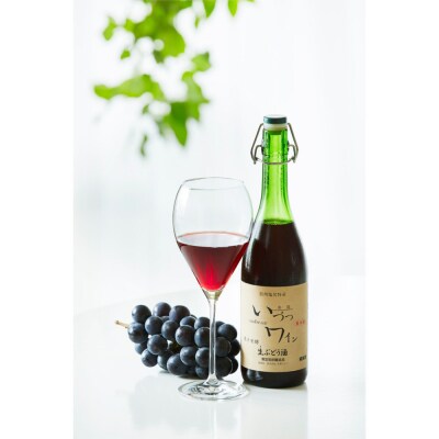 井筒ワイン 酸化防止剤無添加 果汁発酵生ワイン赤 720ml x 2本 要冷蔵 発売元 株式会社片山