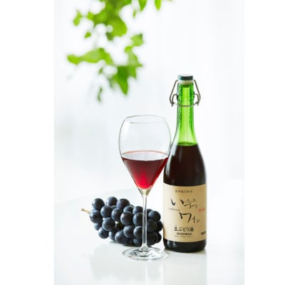 井筒ワイン 酸化防止剤無添加 井筒 生ワイン 赤 720ml × 2本 要冷蔵 発売元 株式会社片山
