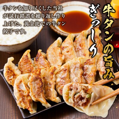 牛タン加工会社　アウトカム　牛タン餃子2種セット