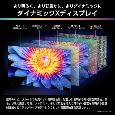 ハイセンス【設置費込み】75V型 75U9R 4K Mini LED 液晶テレビ