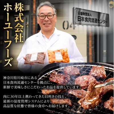 黒毛和牛トロホルモン(小腸)特製だし0.9kg ( 300g ×3パック )【順次発送】