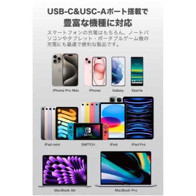 超小型急速充電PD65W対応USB充電器PR-AP148ブラック 【kw0232-0081】