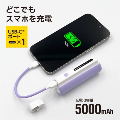 LEDライト付きモバイルバッテリー 5000mAh(バイオレット)TL98CV
