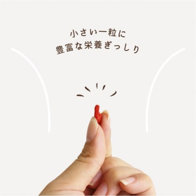 ゴジベリー(クコの実)500g×2袋 【kw0090-0021】