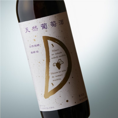 天然ワイン醸造酸化防止剤無添加　天然葡萄酒　赤中辛 720ml　2本セット【kw0134-0069】