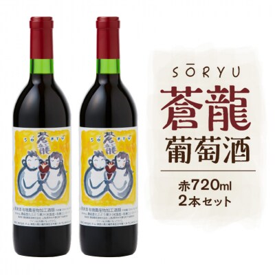蒼龍葡萄酒　酸化防止剤無添加　蒼龍コンコード　赤　720ml　2本セット 【kw0134-0074】