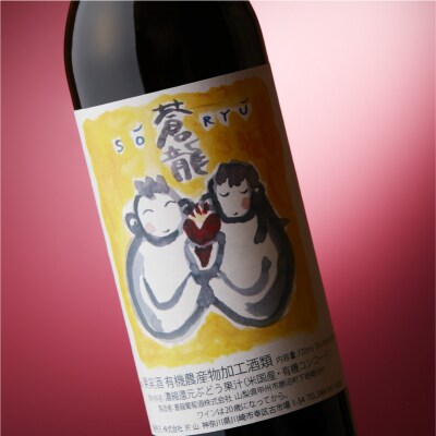 蒼龍葡萄酒　酸化防止剤無添加　蒼龍コンコード　赤　720ml　2本セット 【kw0134-0074】