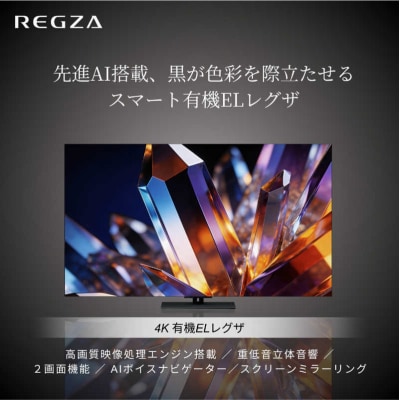 TVS REGZA【標準設置費込み】 有機ELテレビ X7 48V型 【kw0085-0089-1】