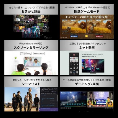 TVS REGZA【標準設置費込み】 有機ELテレビ X7 65V型 【kw0085-0089-3】