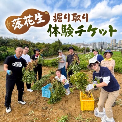 落花生の掘り取り体験チケット 7株分 【kw0208-0002】