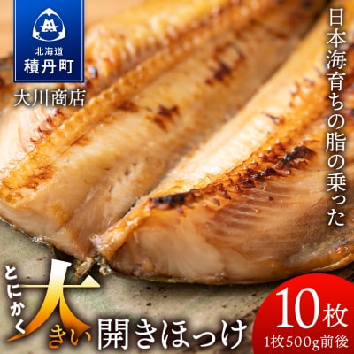 とにかく大きい 開きほっけ 10枚セット ＜大川商店＞ ホッケ 干物 冷凍 北海道産