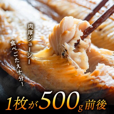 とにかく大きい 開きほっけ 10枚セット ＜大川商店＞ ホッケ 干物 冷凍 北海道産
