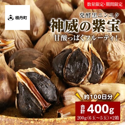 発酵黒ニンニク神威の紫宝400g(200g(6玉～5玉)×2箱)