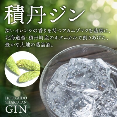 ジン 北海道 積丹 酒 蒸溜酒 アルコール 火の帆 KIBOU GIN 100ml 3本
