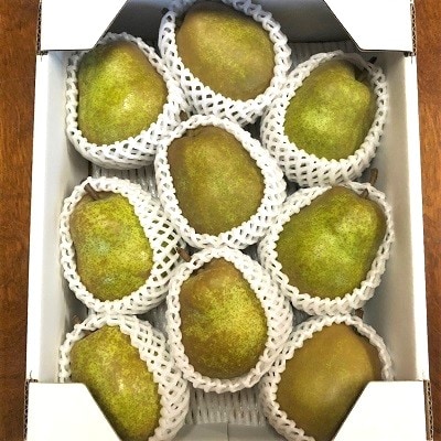 西洋梨(ラ・フランス)3kg　ご家庭用　0137-2501