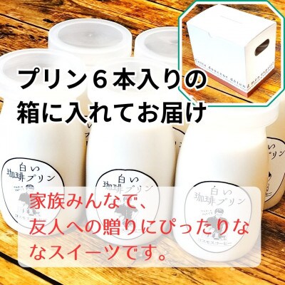 コーヒーマイスターの作り出した白いけどコーヒー風味の不思議なプリン6個入り　