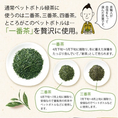 【機能性表示食品】 茶匠庵 緑茶ペットボトル 500ml×24本