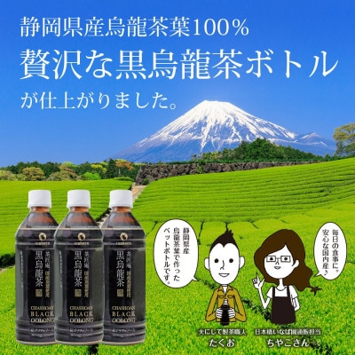 静岡県牧之原産 国産黒烏龍茶ペットボトル 500ml×48本セット【複数個口で配送】