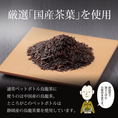 静岡県牧之原産 国産黒烏龍茶ペットボトル 500ml×48本セット【複数個口で配送】