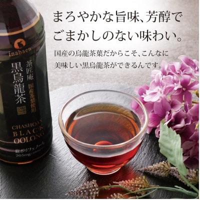 静岡県牧之原産 国産黒烏龍茶ペットボトル 500ml×48本セット【複数個口で配送】