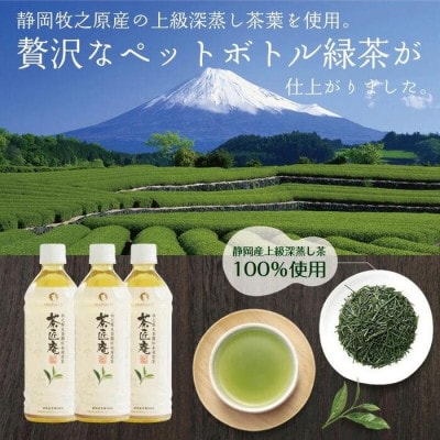 静岡県牧之原産一番茶厳選 茶匠庵 緑茶ペットボトル 500ml×48本【複数個口で配送】