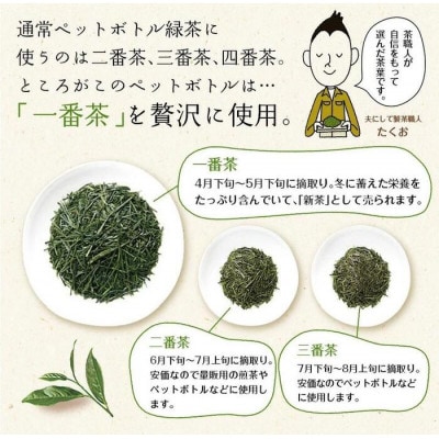 静岡県牧之原産一番茶厳選 茶匠庵 緑茶ペットボトル 500ml×48本【複数個口で配送】