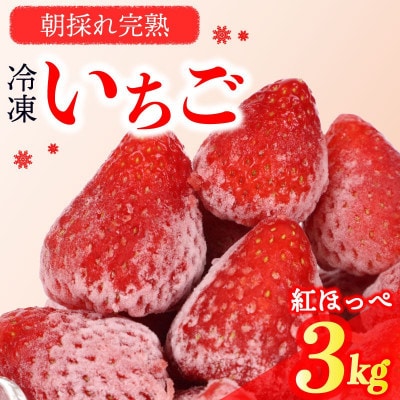冷凍いちご3kg!!土にこだわる濃く甘いちご『紅ほっぺ』 500g×6袋 (060-1)