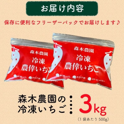 冷凍いちご3kg!!土にこだわる濃く甘いちご『紅ほっぺ』 500g×6袋 (060-1)