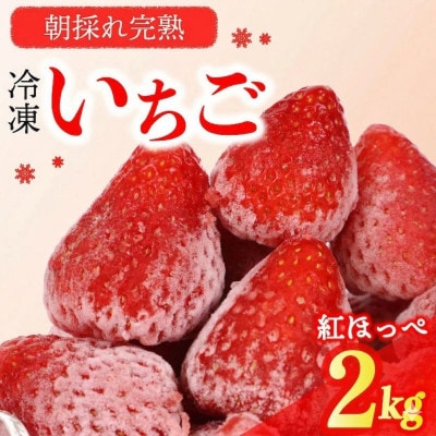 完熟冷凍いちご2kg!森木農園が育てる、濃く甘いちご『紅ほっぺ』500g×4袋 (060-11)