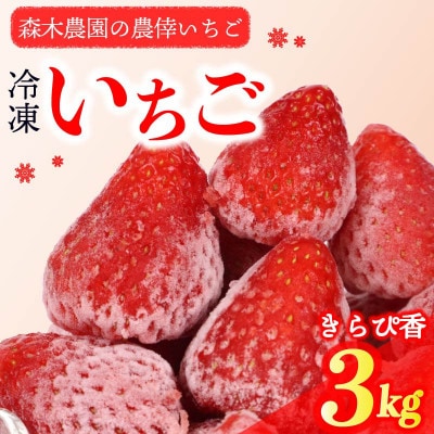 完熟冷凍いちご3kg!静岡限定品種【きらぴ香】 (060-19)