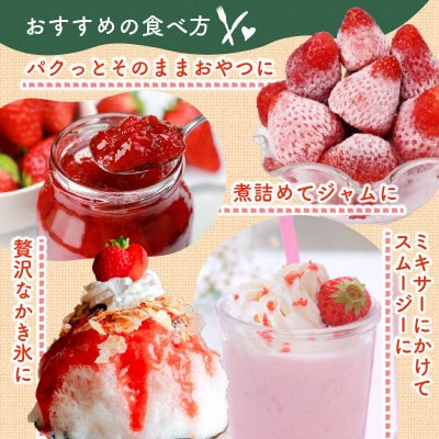完熟冷凍いちご3kg!静岡限定品種【きらぴ香】 (060-19)