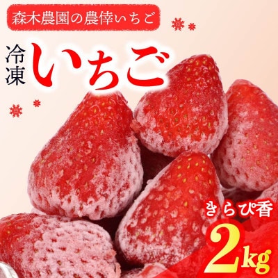 完熟冷凍いちご2kg!静岡限定品種【きらぴ香】 (060-26)