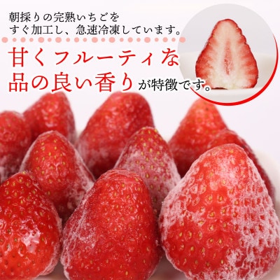 完熟冷凍いちご2kg!静岡限定品種【きらぴ香】 (060-26)