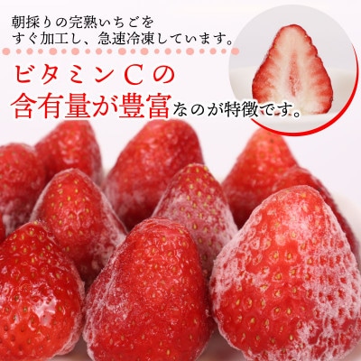 ビタミンC含有量No.1 完熟冷凍いちご【おいCベリー】3kg! (060-23)