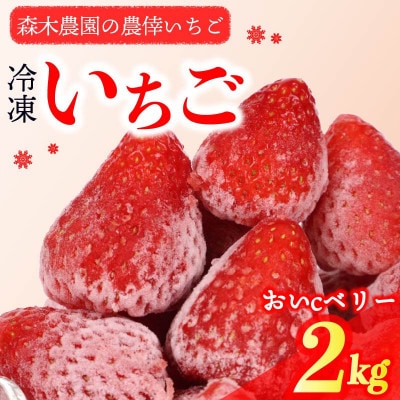 ビタミンC含有量No.1 完熟冷凍いちご【おいCベリー】2kg! (060-3)