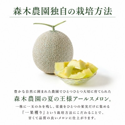 【2026年7月発送】一果穫りの贅沢果実 アールスメロン 1玉 1.4kg以上