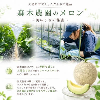 【2026年7月発送】一果穫りの贅沢果実 アールスメロン 1玉 1.4kg以上