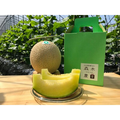 【7月発送】一果穫りの贅沢果実 アールスメロン 1玉入