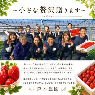 【2026年7月発送】一果穫りの贅沢果実 アールスメロン 1玉 1.4kg以上