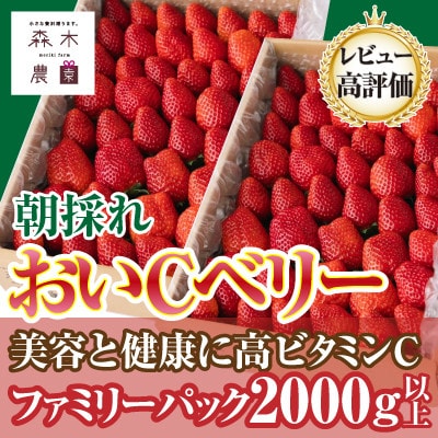 ビタミンC含有量No.1☆ 完熟いちご『 おいCベリー』 合計2000g以上【常温発送】