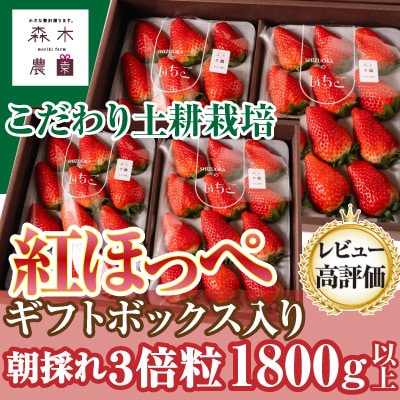 最高の贅沢をあなたに…森木農園が育てる『大粒紅ほっぺ』4トレイ 合計1800g以上【常温発送】