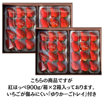 最高の贅沢をあなたに…森木農園が育てる『大粒紅ほっぺ』4トレイ 合計1800g以上【常温発送】