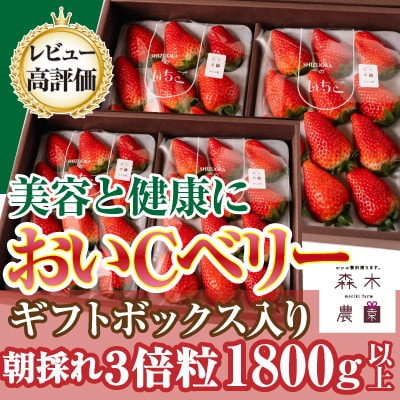 最高の贅沢をあなたに…森木農園の作る『超大粒おいCベリー』4トレイ 合計1800g以上【常温発送】