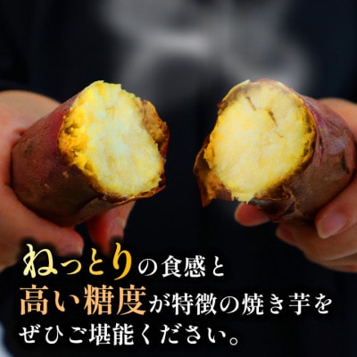 紅はるか冷凍焼き芋 計1kg 静岡県牧之原市産